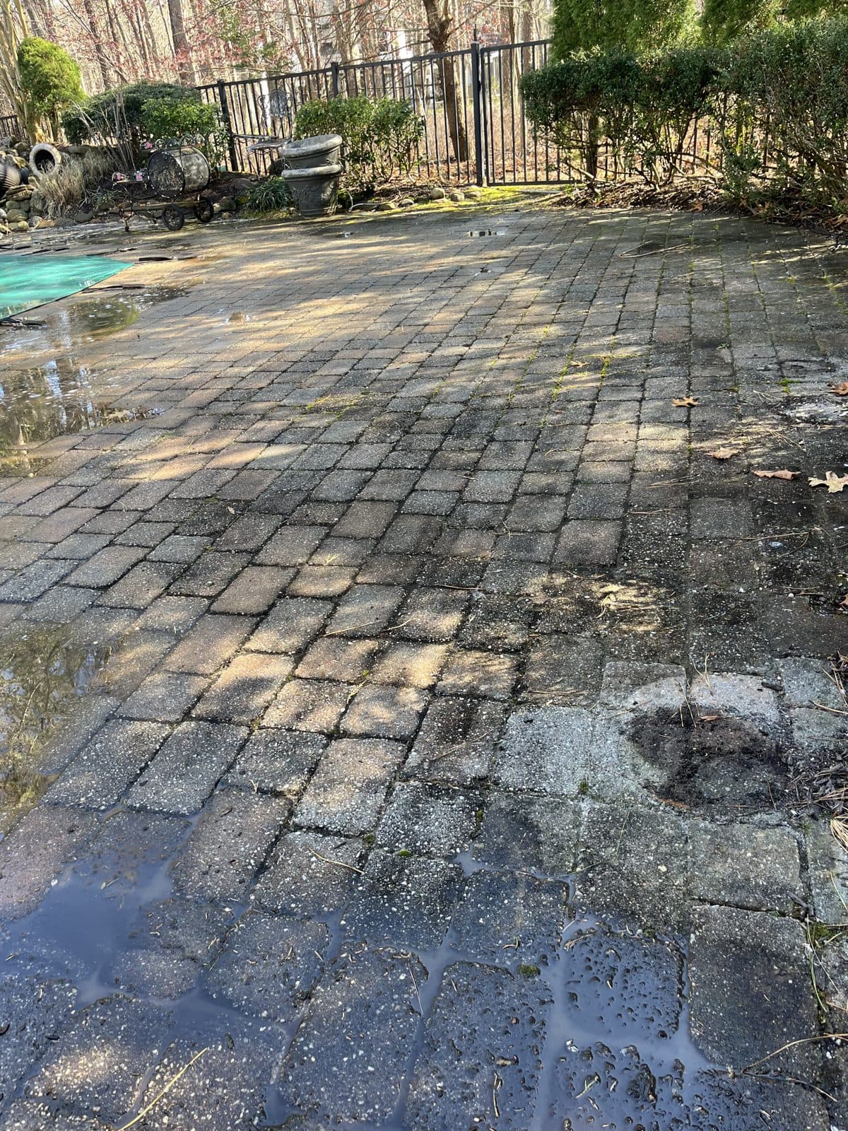 Before — Paver Patio & Pool Deck